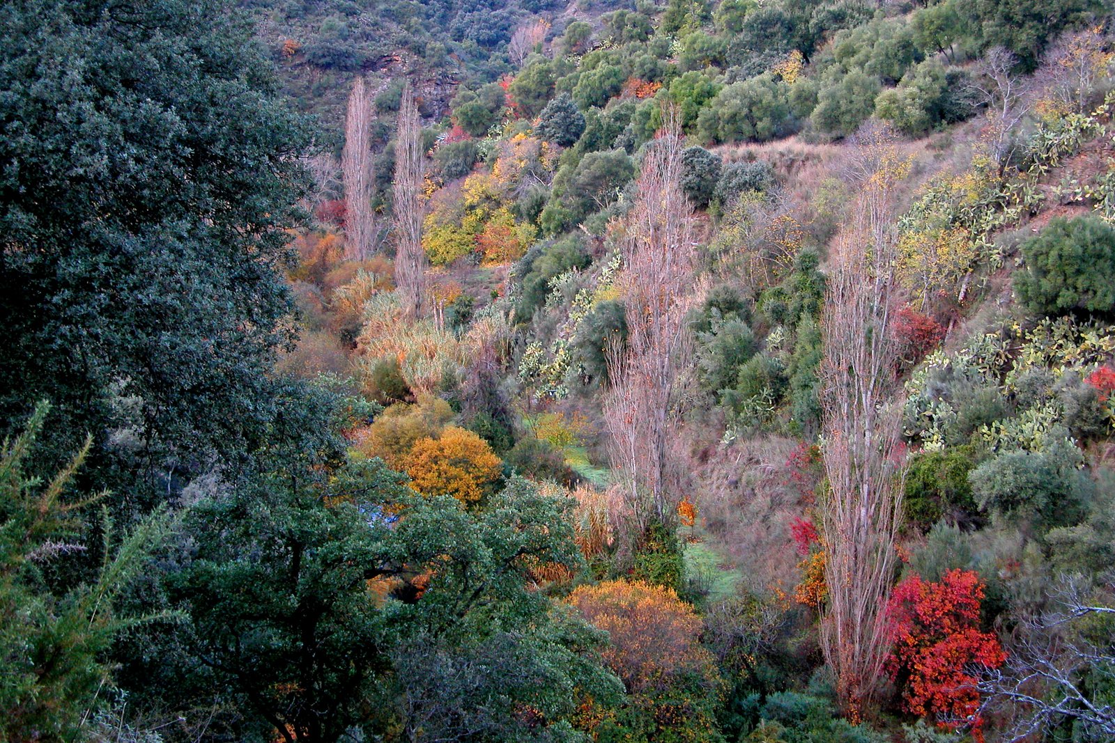 Foto de El Valle del Genal