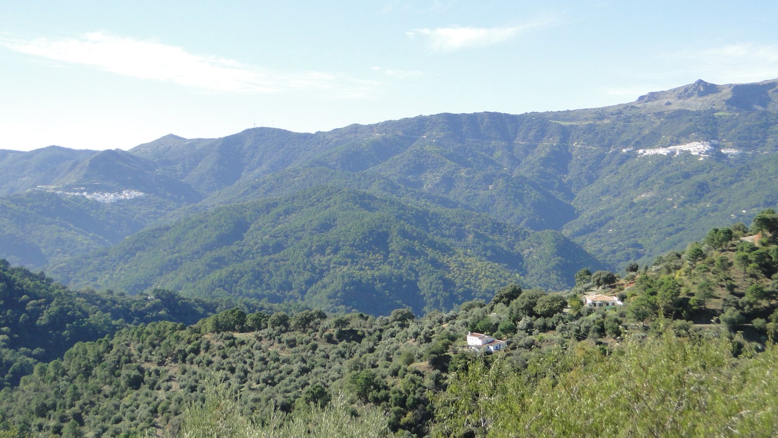 Foto de El Valle del Genal