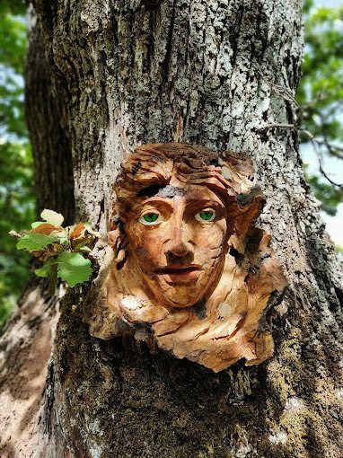 Bosque Encantado