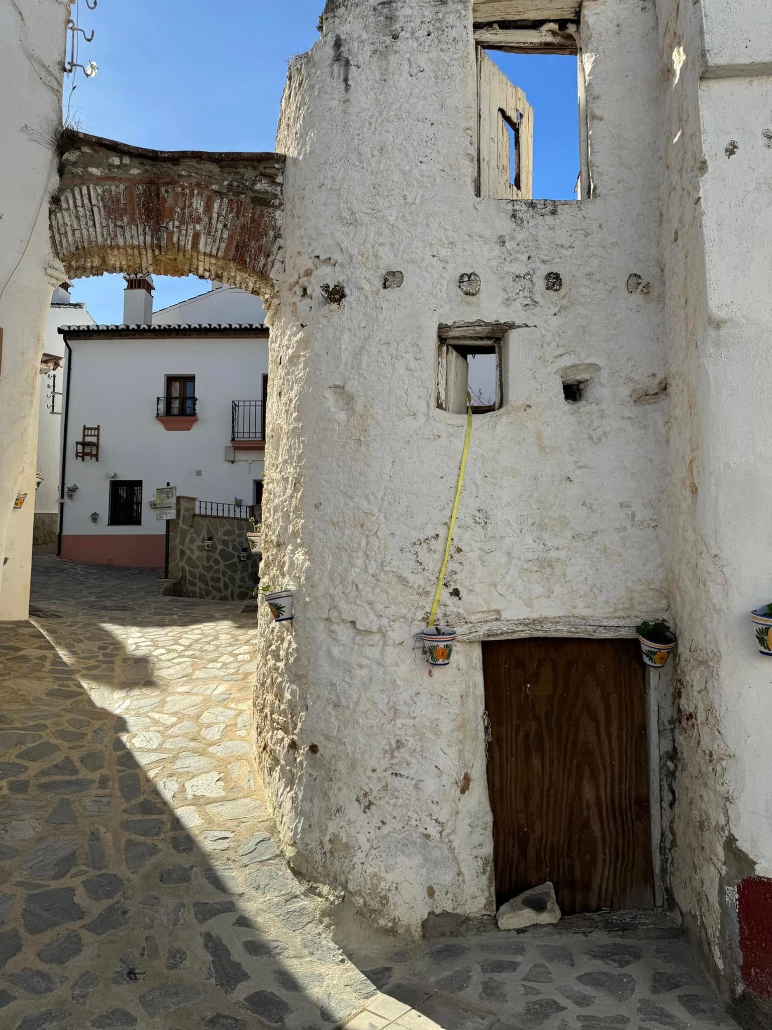 Parauta