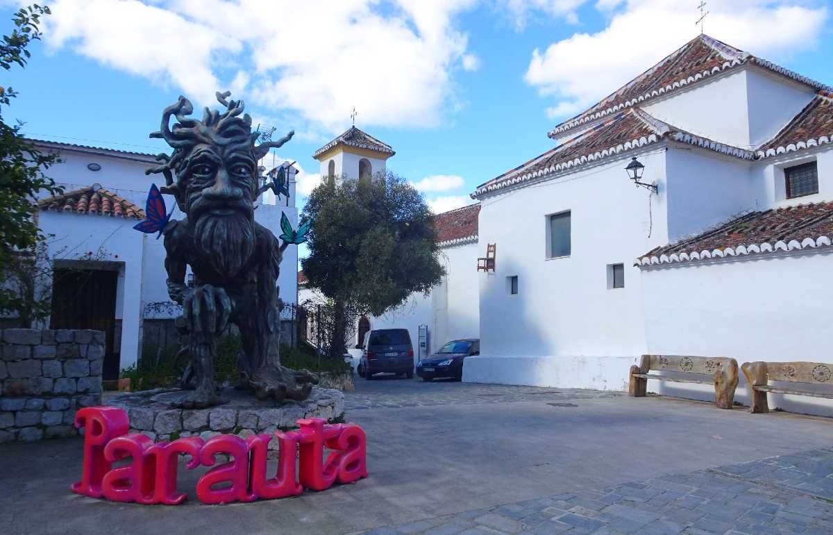 Parauta